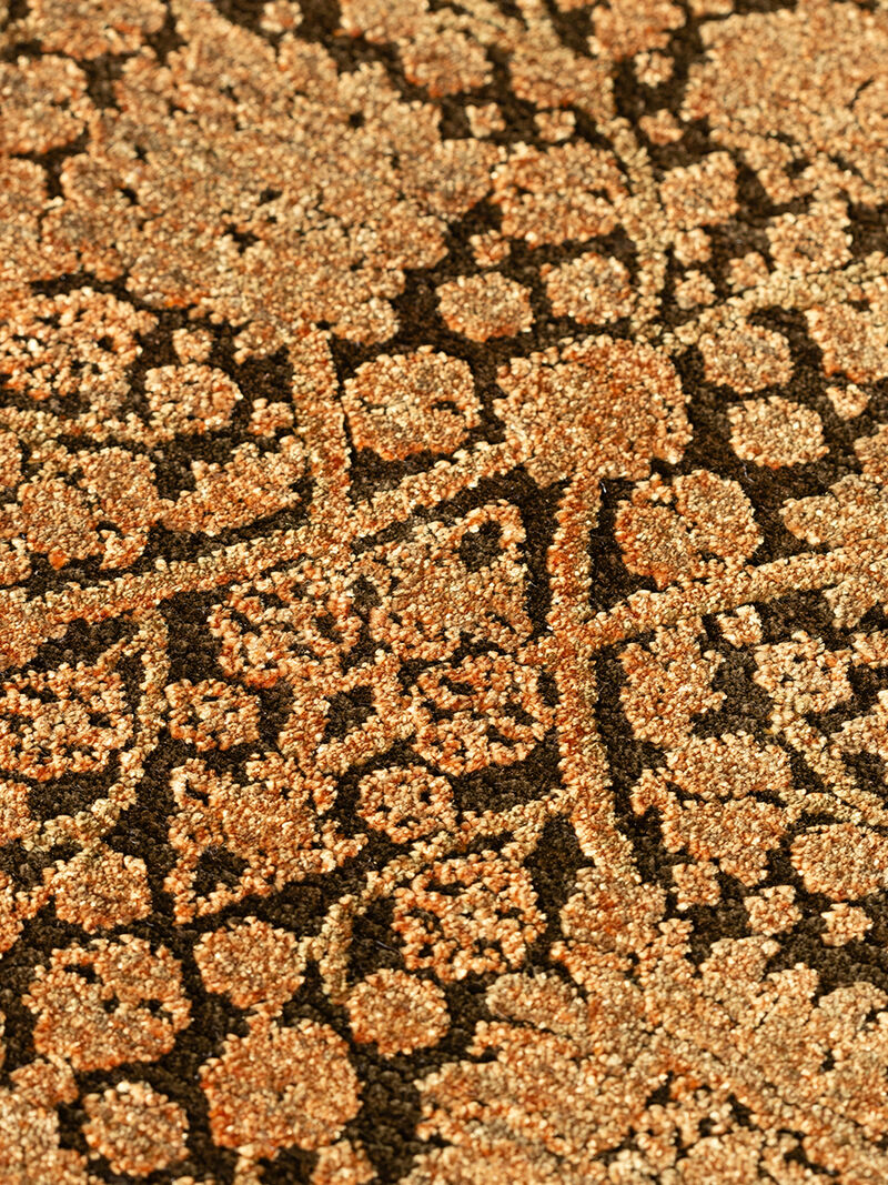 Vizcia VZ1 Copper 3' x 5'1" Rug
