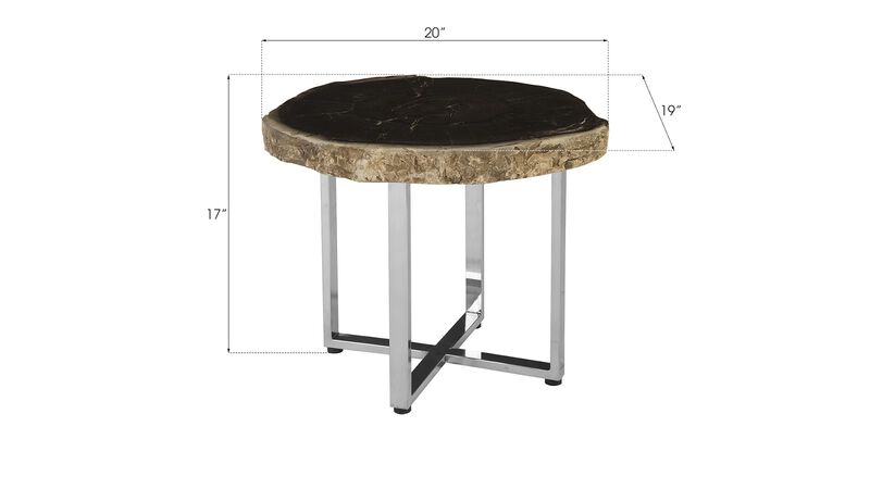 Petrified Wood Coffee Table