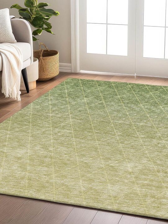 Lazio LZ2 Aloe 20" x 30" Rug