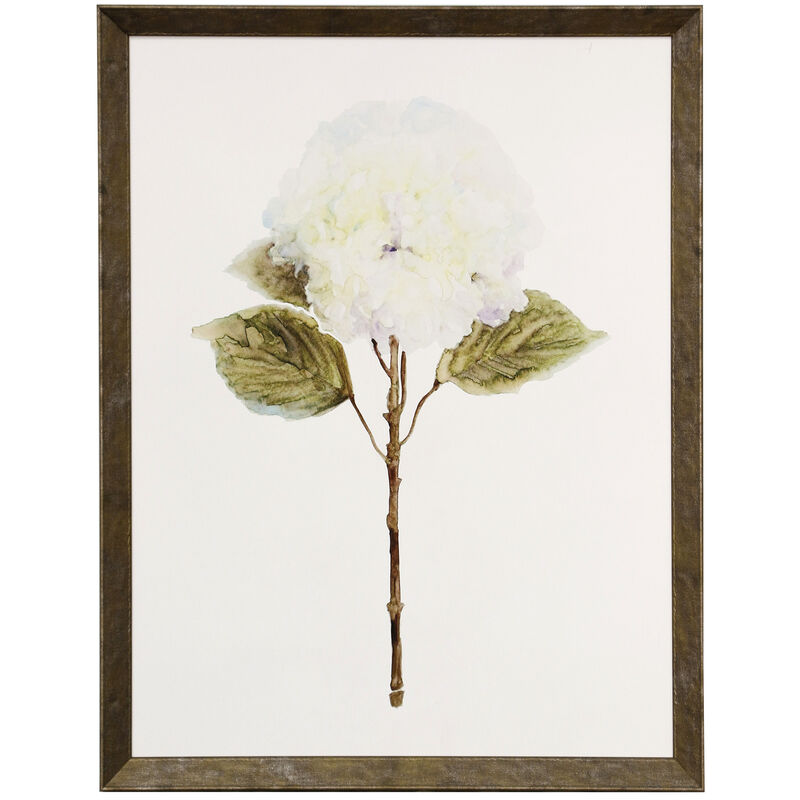 White Blossom III Framed Print