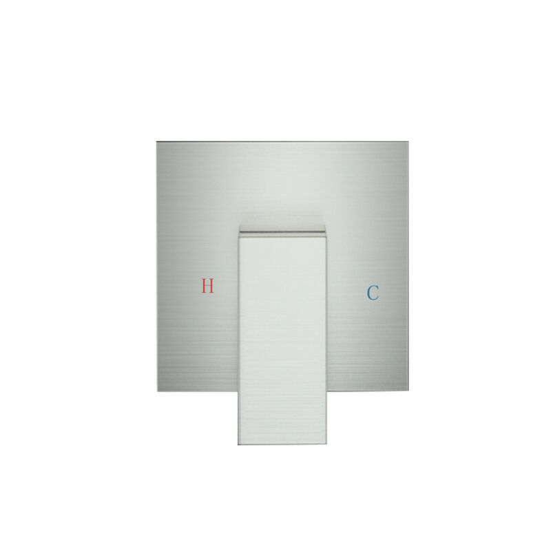 Wall Mounted Shower Faucet In Brushed Nickel (Valve Included)