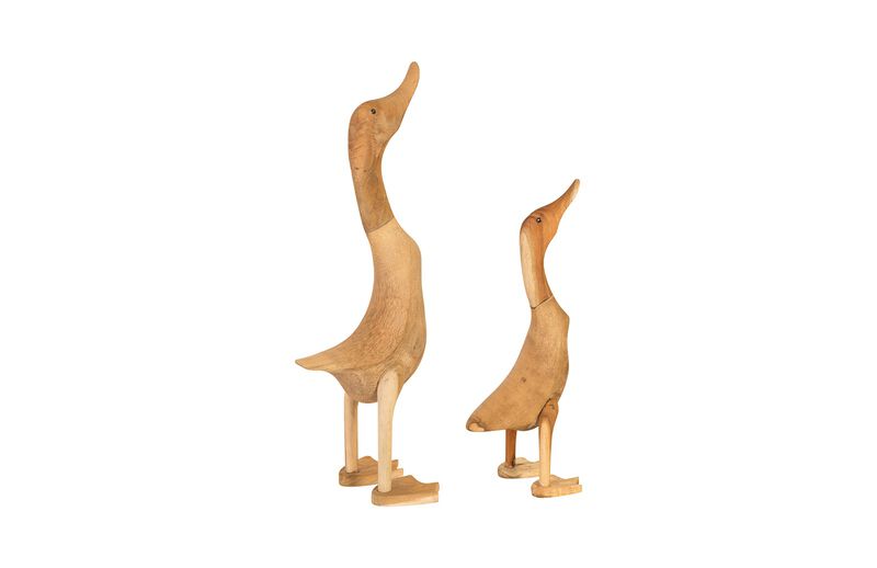 Wood Duck Set of 2