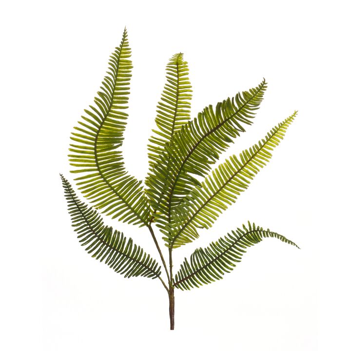 Variegated Fern Foliage Spray 28 Inches for Lush Home Décor and Floral Arrangements (Set of 6)