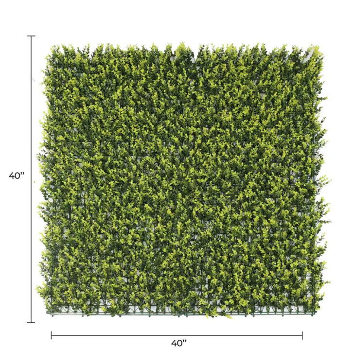 Yellow English Artificial Boxwood Wall 40" x 40" 11SQ FT Commercial Grade UV Resistant