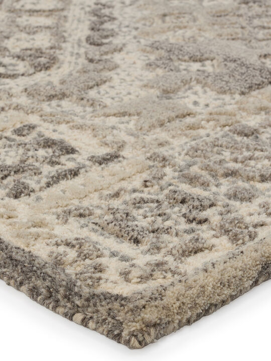 Farryn Nesso Gray 10' x 14' Rug