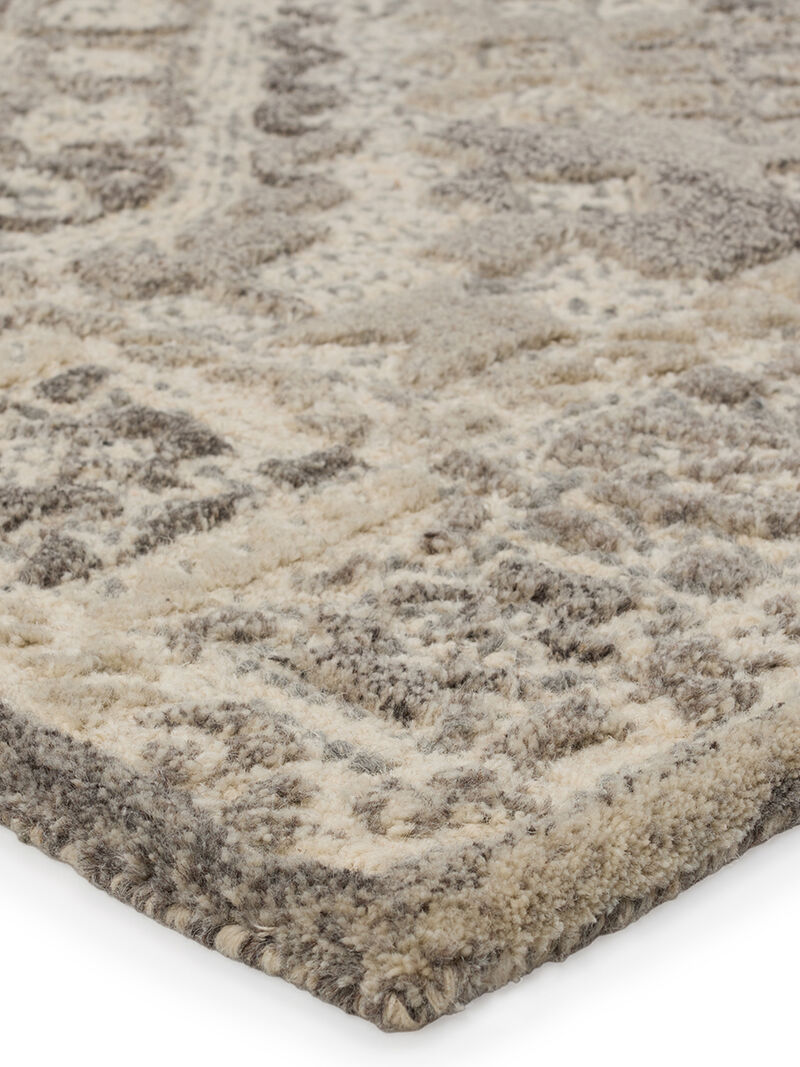 Farryn Nesso Gray 10' x 14' Rug
