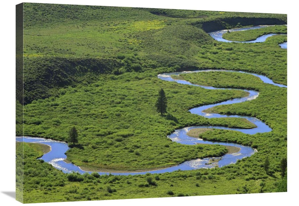 East river meandering near Crested Butte, Colorado-Canvas Art-32x24