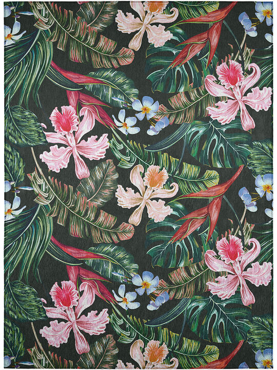 Tropics TC6 Black 9' x 12' Rug