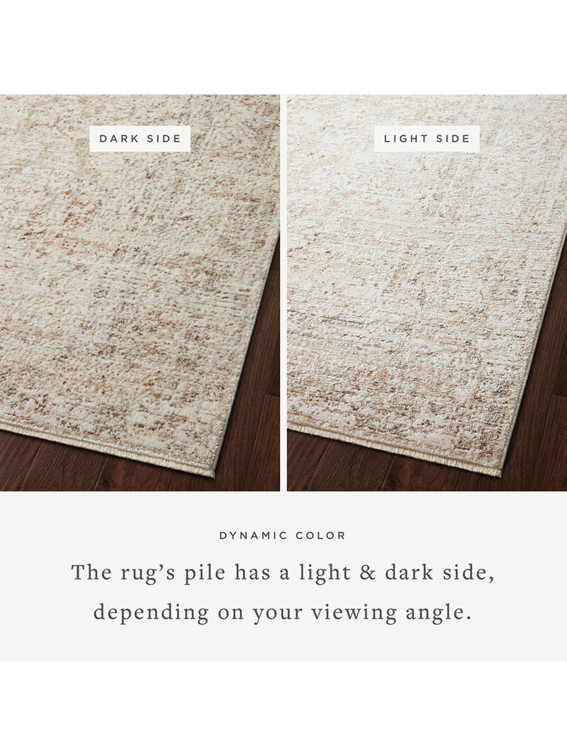 Sonnet SNN03 Beige/Terracotta 3'7" x 5'7" Rug