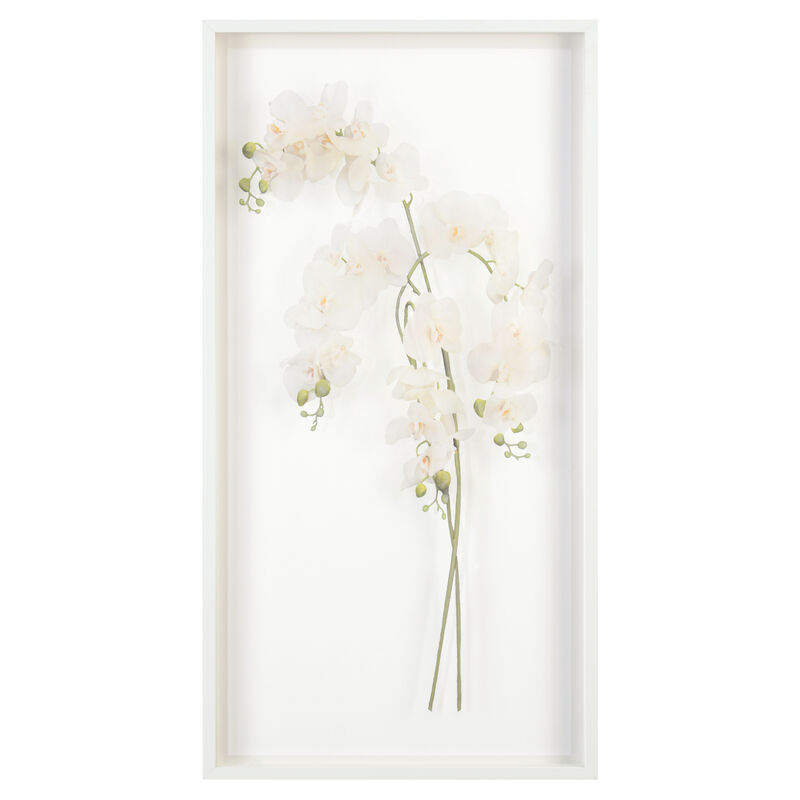Study Of Orchids II