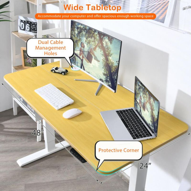 Costway 48-Inch Electric Standing Adjustable Desk with Control Panel and USB Port