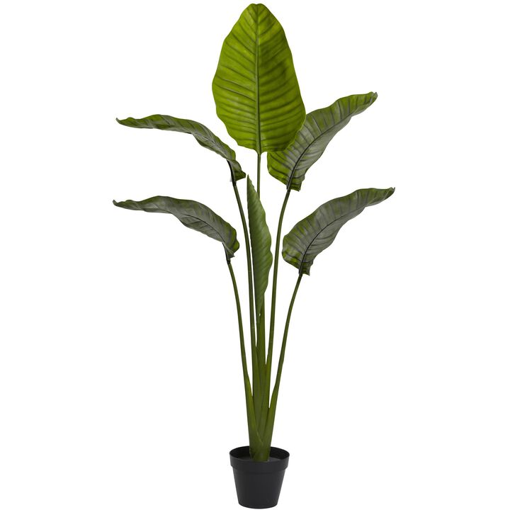 Hivvago 64 Inches Travellers Palm Tree UV Resistant (Indoor/Outdoor)