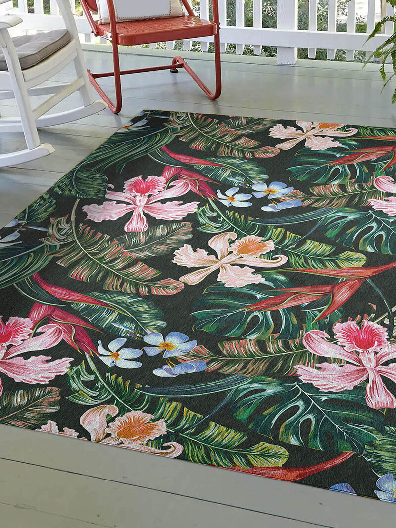 Tropics TC6 Collection