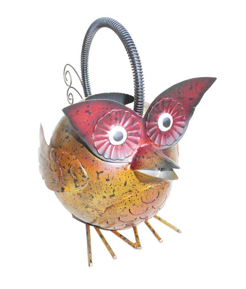Iron Owl Watering Can