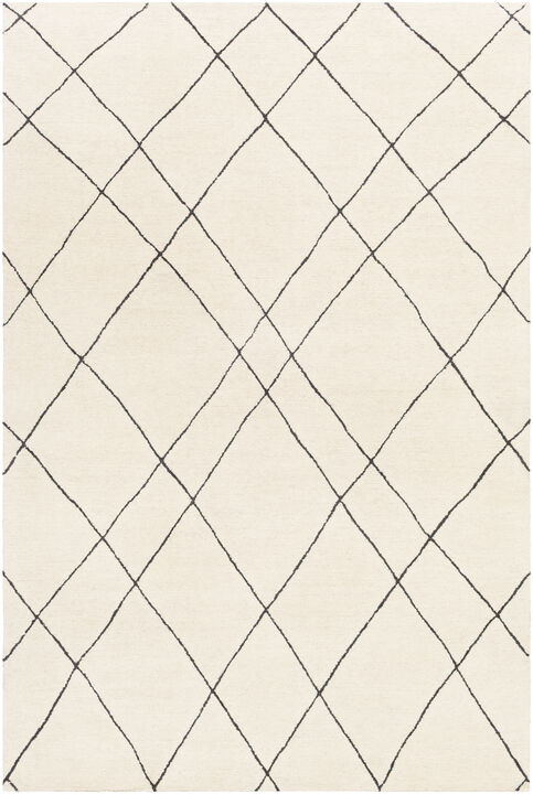 Sinop SNP-2304 4' x 6' Beige Rug
