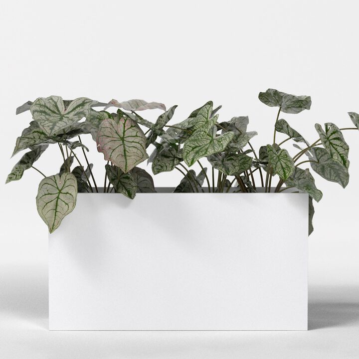 Greenline Fiberglass Leo Large Indoor/Outdoor Rectangle Planter - 36 in x 16 in x 24 in