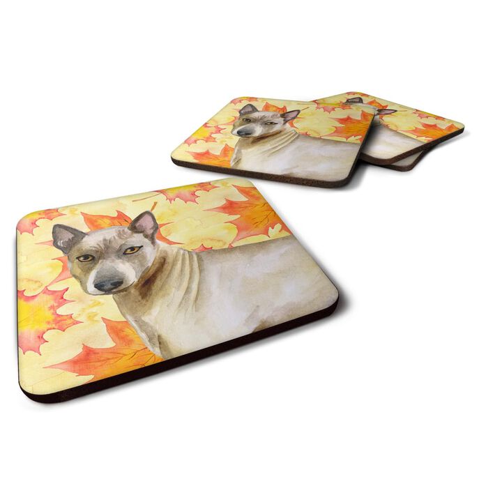 Caroline's Treasures Thai Ridgeback Fall Decorative coasters, Multicolor