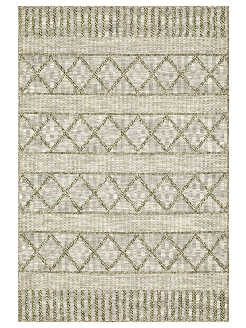 Tortuga 3'3" x 5' Beige Rug