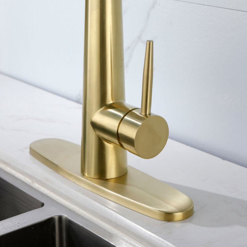 Kitchen Sink Faucet with Pull-Out Sprayer, Single Handle, Fingerprint-Resistant Finish