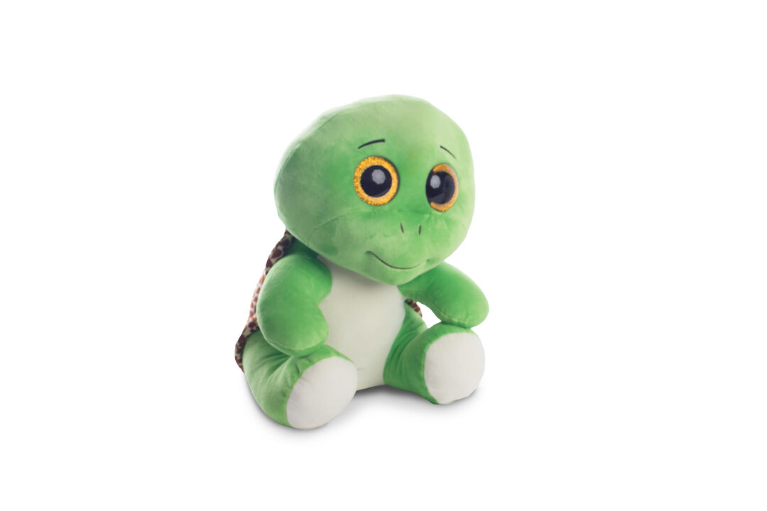 Turbo Turtle