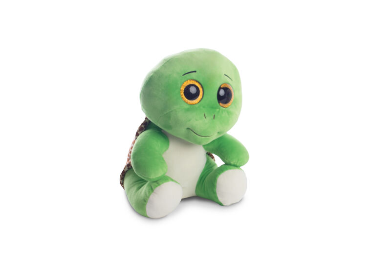 Turbo Turtle