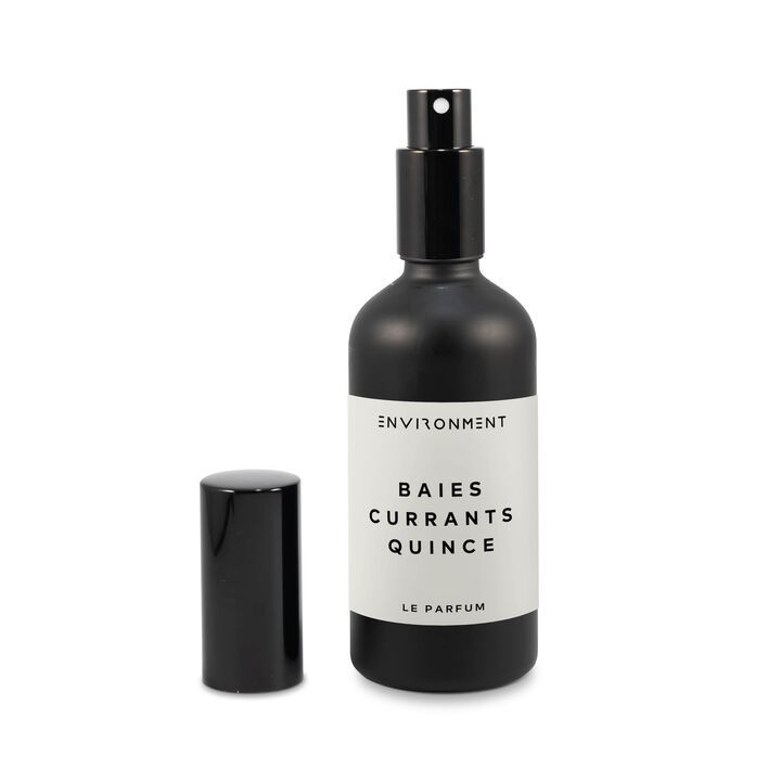 ENVIRONMENT 100mL Room Spray Inspired by Diptyque Baies® - Baies | Currants | Quince