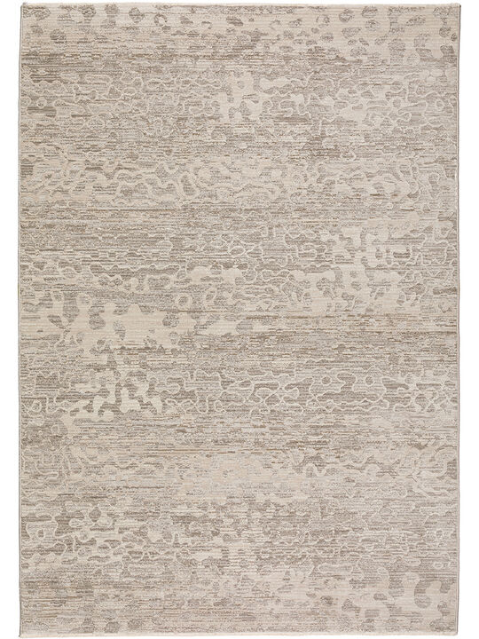 Denizi DZ6 Silver 7'10" x 10' Rug