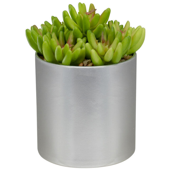 4.75" Potted Red and Green Artificial Sedum Succulent 4.75" Potted Red and Green Artificial Sedum Succulent