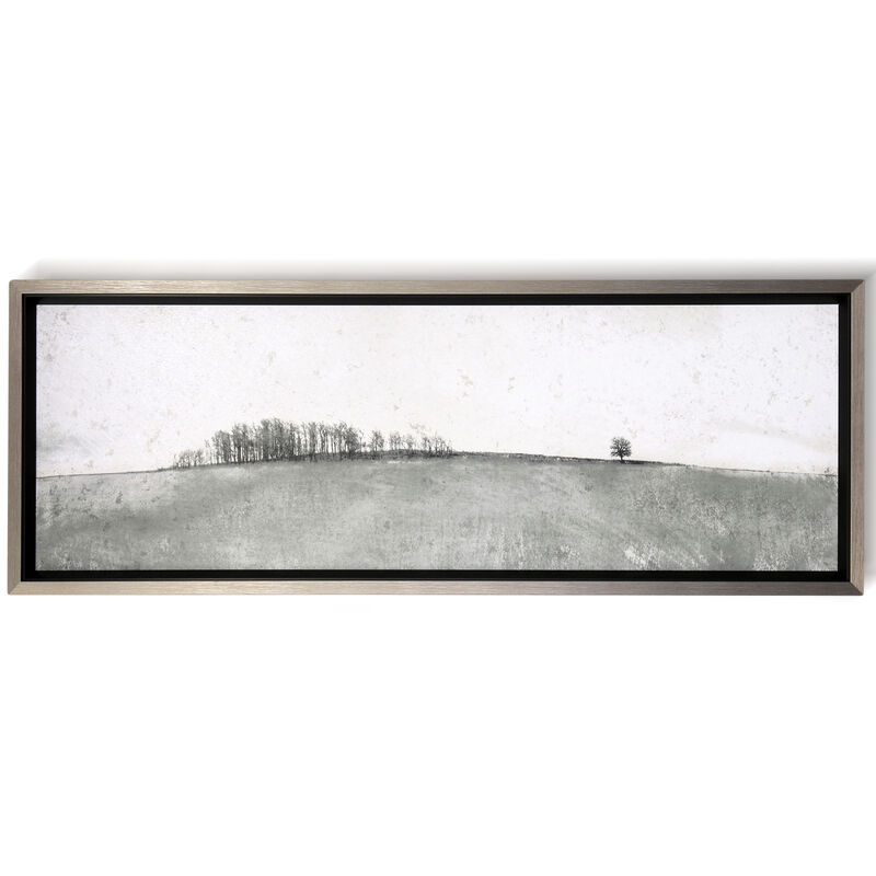 Distant Trees