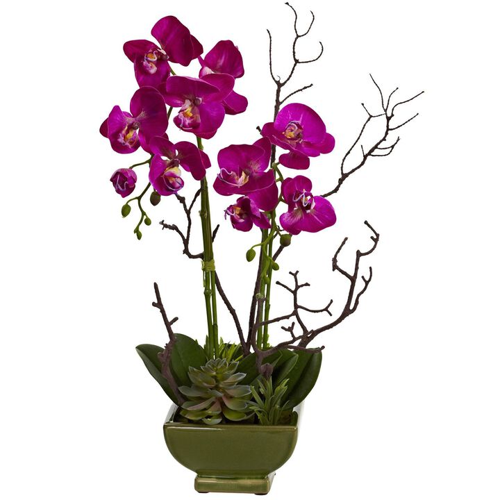 Nearly Natural 21-in Orchid & Succulent Arrangement Nearly Natural 21-in Orchid & Succulent Arrangement