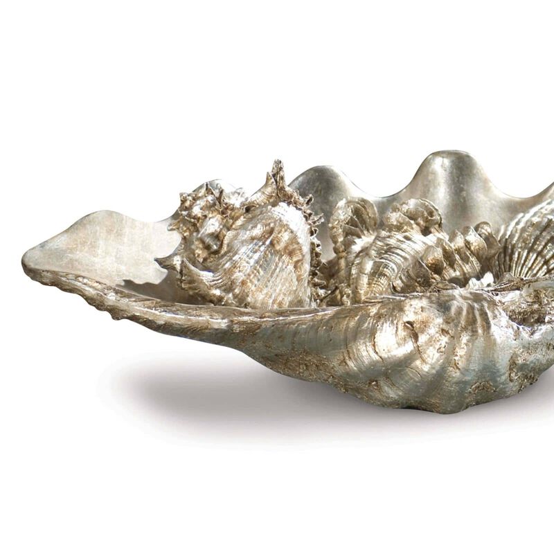 Clam Shell Medium with Small Shells