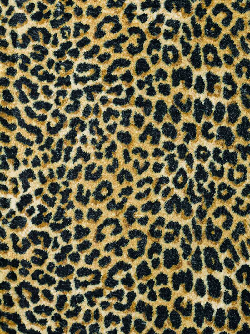 Akina AK2 Gold 3' x 5' Rug