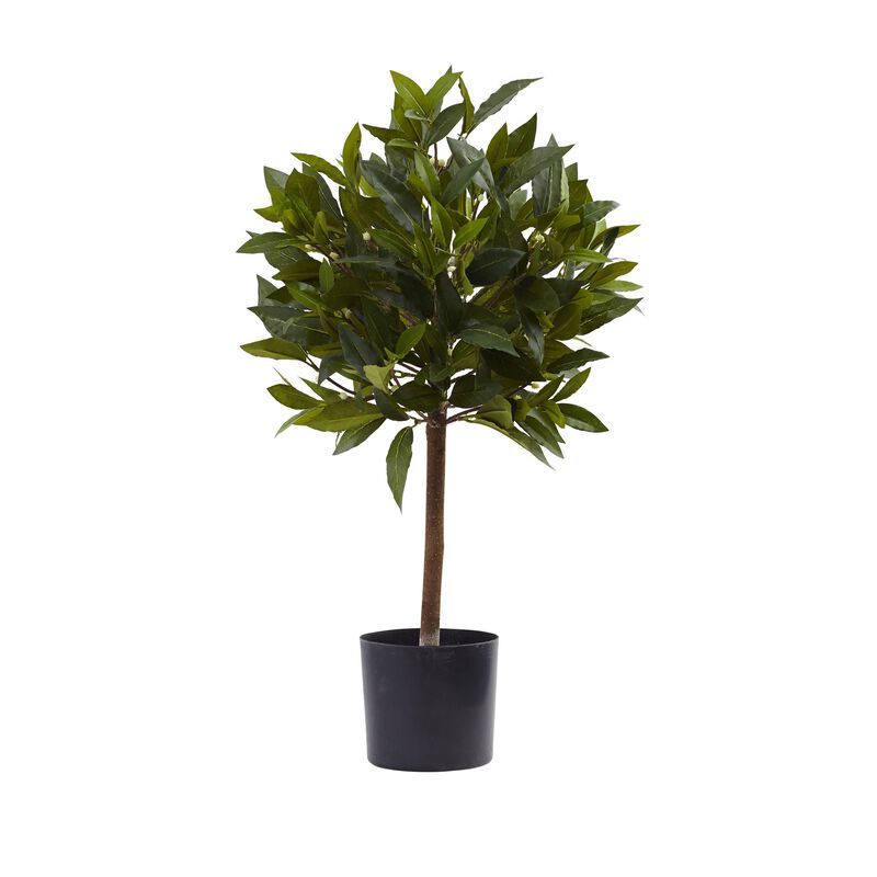 Hivvago 2 Feet Sweet Bay Mini Ball Topiary