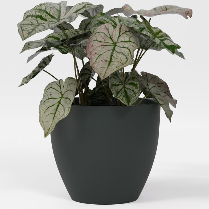 Greenline Fiberglass Lucy Extra Large Indoor/Outdoor Round Planter - 44 in x 44 in x 39 in - Matte Black