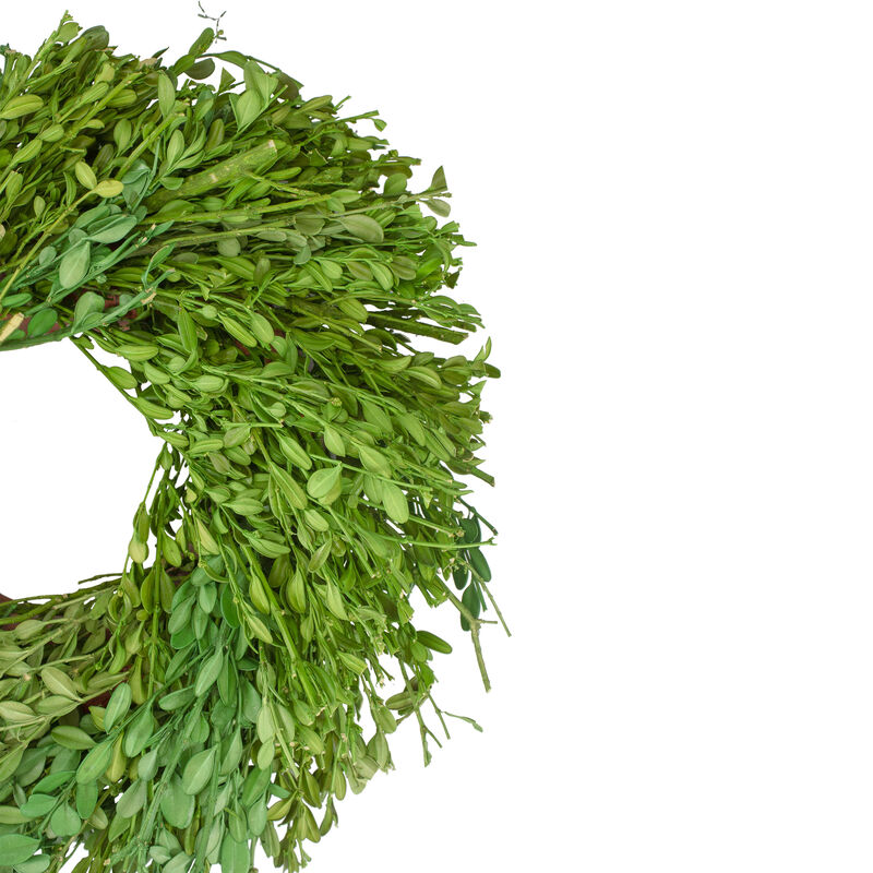 Green Foliage Artificial Spring Wreath  11-Inch