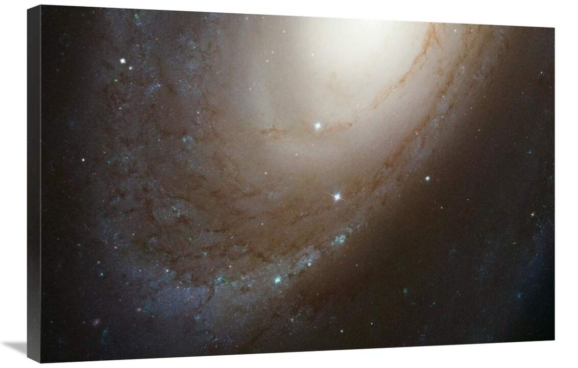 HST ACS Image of M81-Canvas Art-36x24