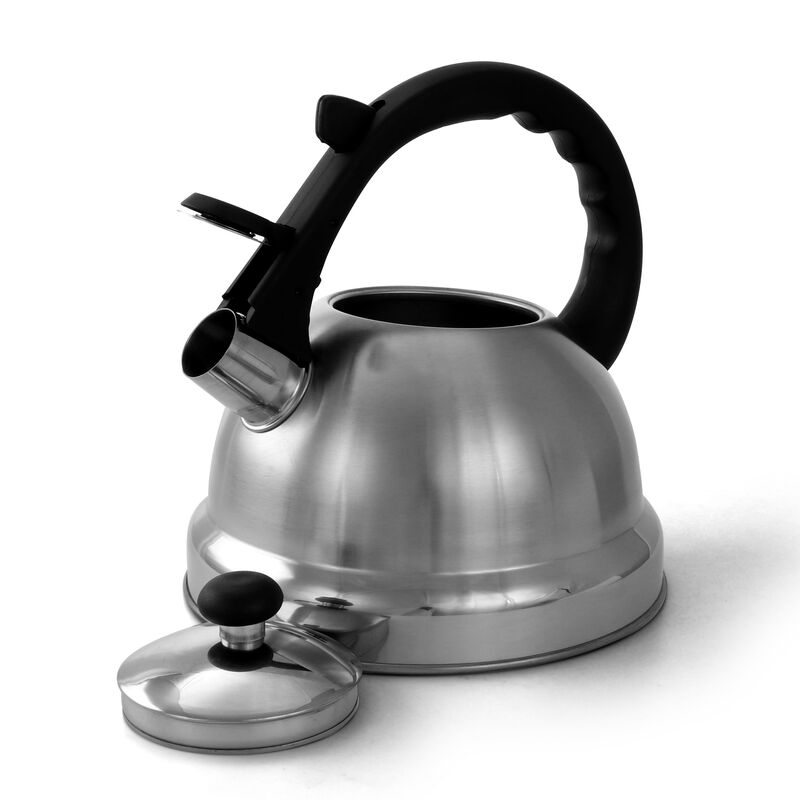 Mr. Coffee Claredale 2.2 Quart Brushed Stainless Steel Whistling Tea Kettle with Nylon Handle