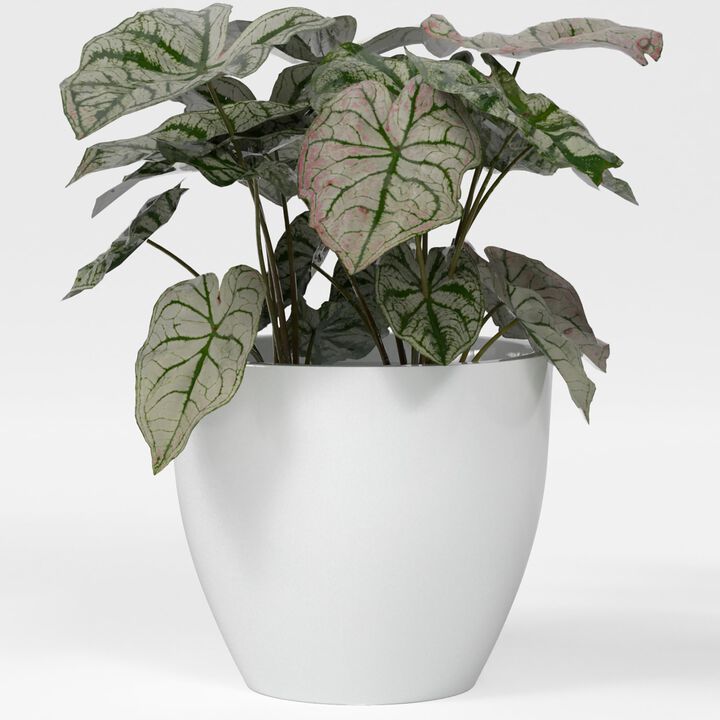 Greenline Fiberglass Lucy Large Indoor/Outdoor Round Planter - 39 in x 39 in x 34 in - Gloss White