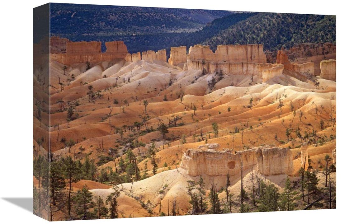 Landscape of eroded formations called hoodoos and fins, Bryce Canyon National Park, Utah-Canvas Art-16x12