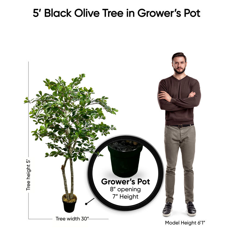 Handmade 5' Artificial Black Olive Tree In Home Basics Plastic Pot Made with Real Wood and Moss Accents