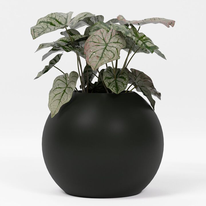 Greenline Fiberglass Nala Large Indoor/Outdoor Globe Planter - 24 in x 24 in x 19 in - Gloss White