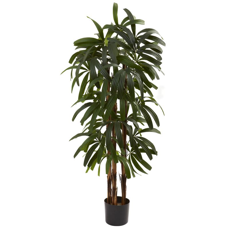 Hivvago 4 Feet Raphis Palm Tree