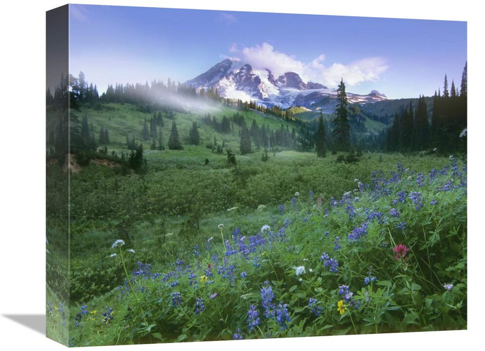 Incoming fog on Mount Rainier, Mount Rainier National Park, Washington-Canvas Art-16x13.28