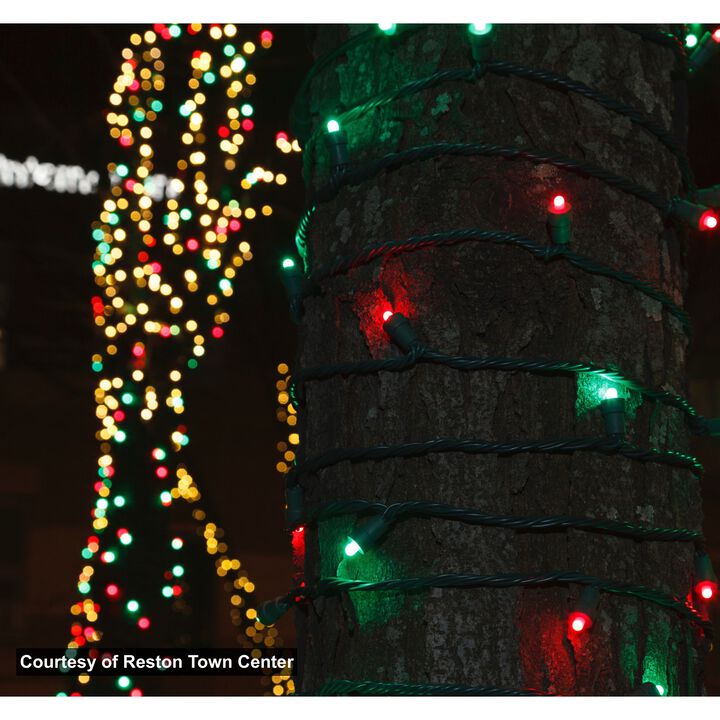 35 Warm White LED Wide Angle Christmas String Lights - 12 ft Green Wire
