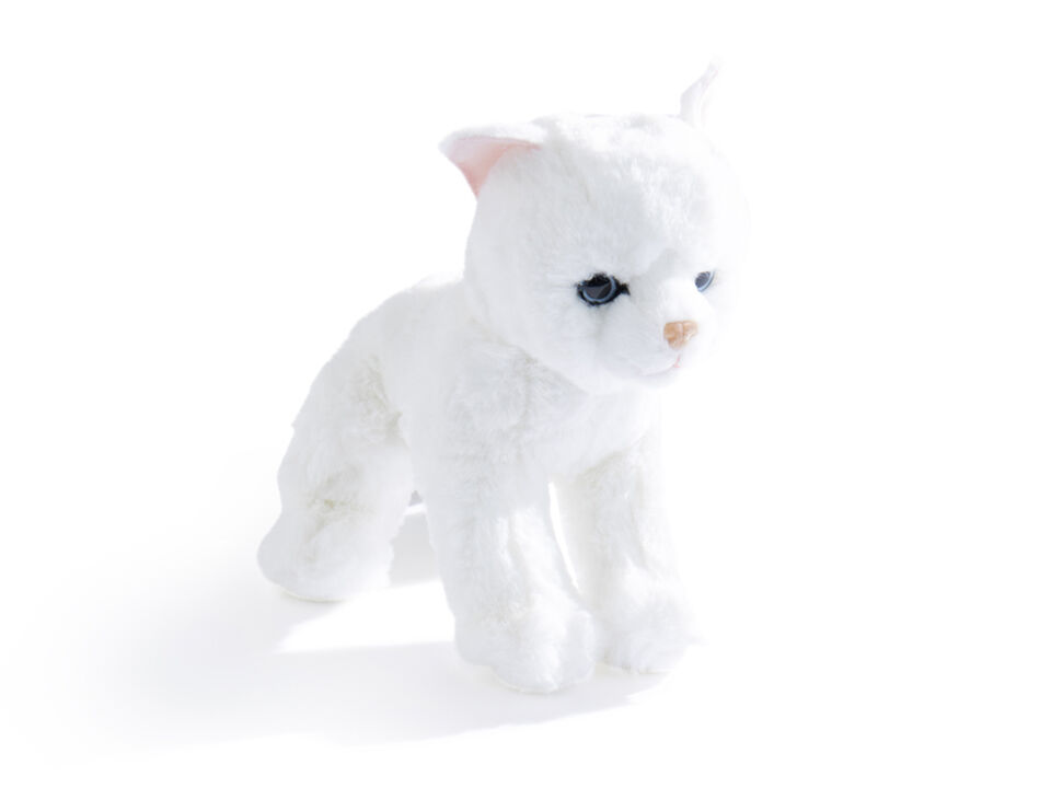 Mattie's Kitty
