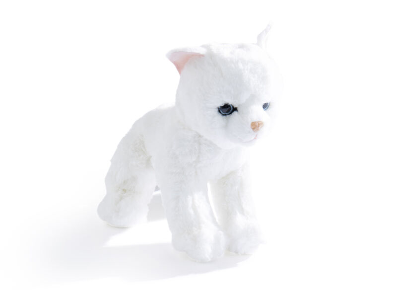 Mattie's Kitty