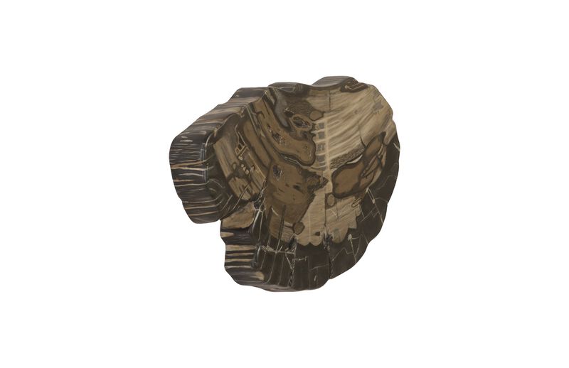 Cast Petrified Wood Wall Tile