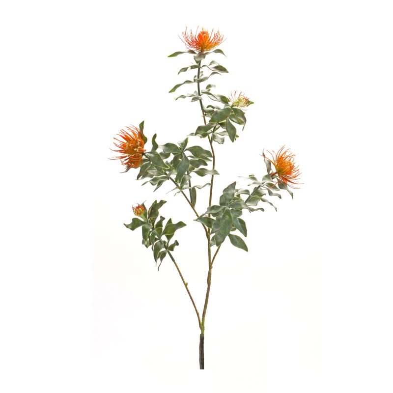 Flocked Protea Spray for Winter and Holiday Décor (Set of 6)