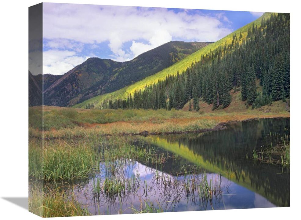 Pond and mountains, Maroon Bells-Snowmass Wilderness Area, Colorado-Canvas Art-16x13.28