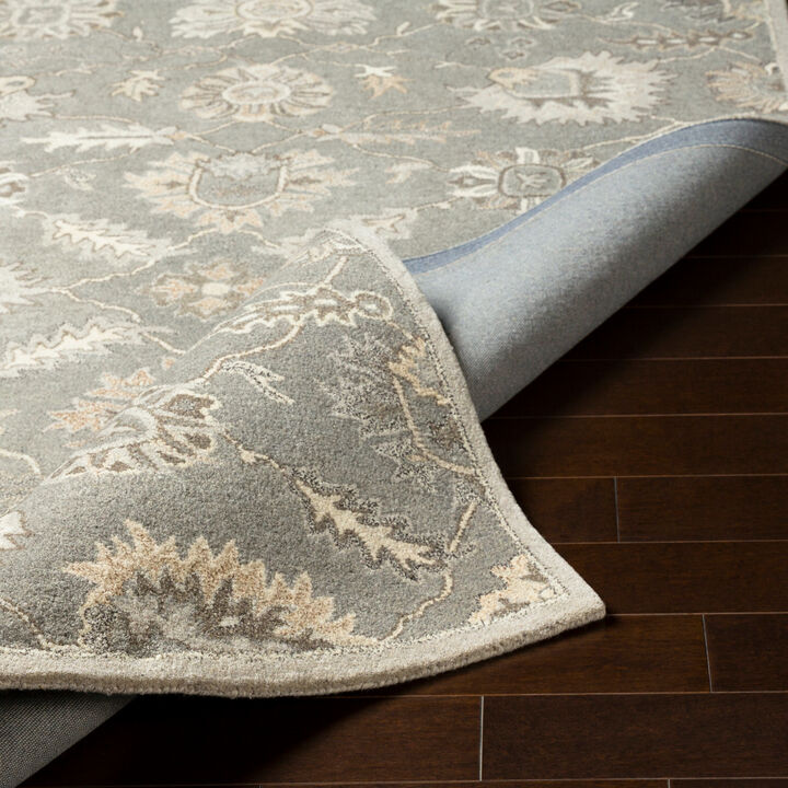 Caesar CAE-1199 2' x 3' Gray Rug
